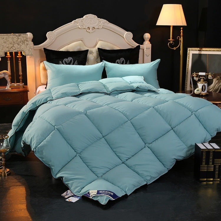 Luxurious Embroidered Down Comforter