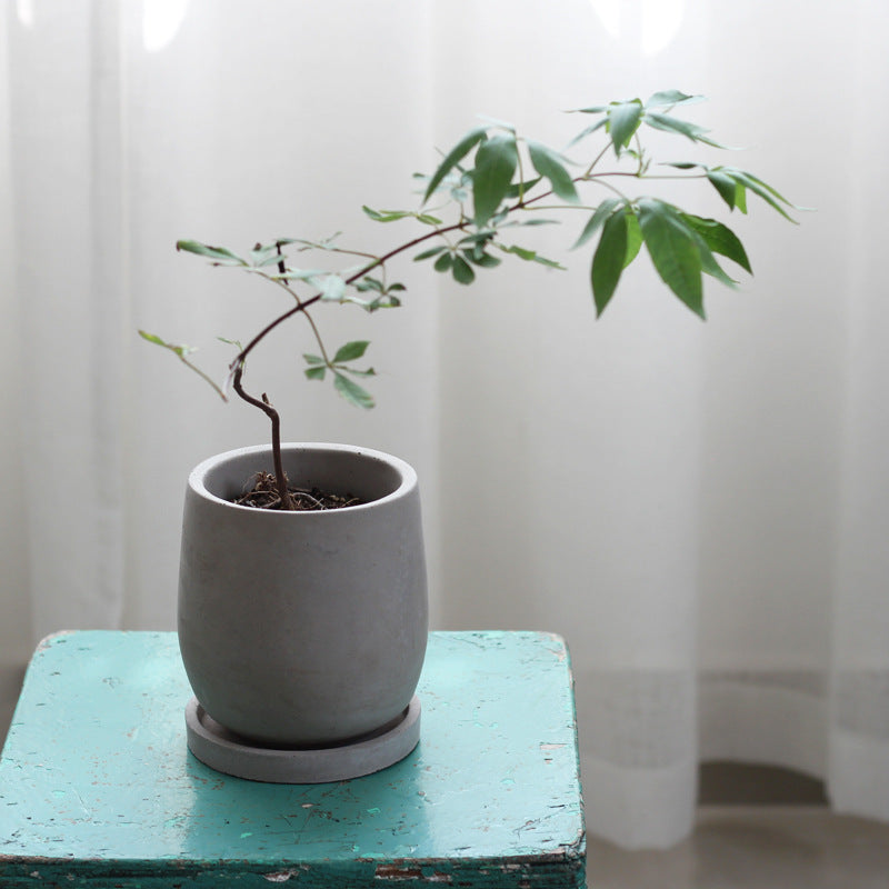 Minimalist Cement Flower Pot