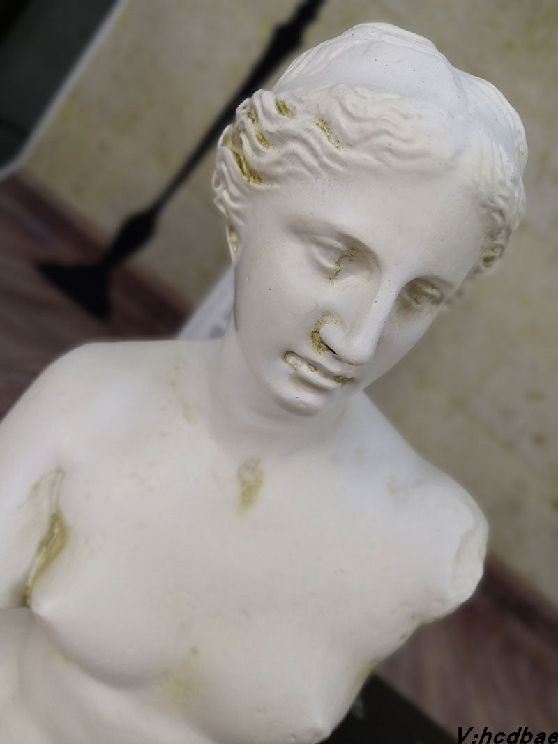 Venus Bust Resin Plaster Statue Living Room Wine Cabinet Decoration Art Teaching Aids