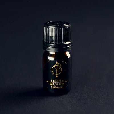 Aromatic Diffuser for Essential Oils - Max&Mark Home Decor