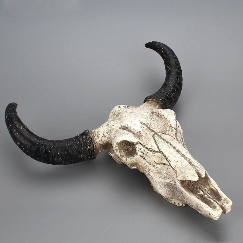 Bull's Skull Decoration