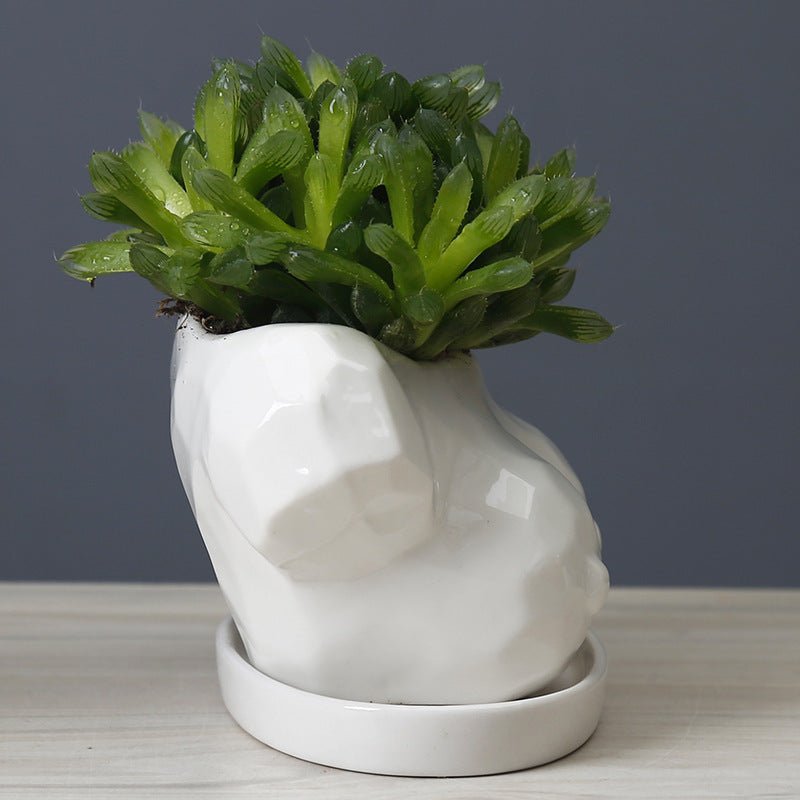Modern Flower Pot