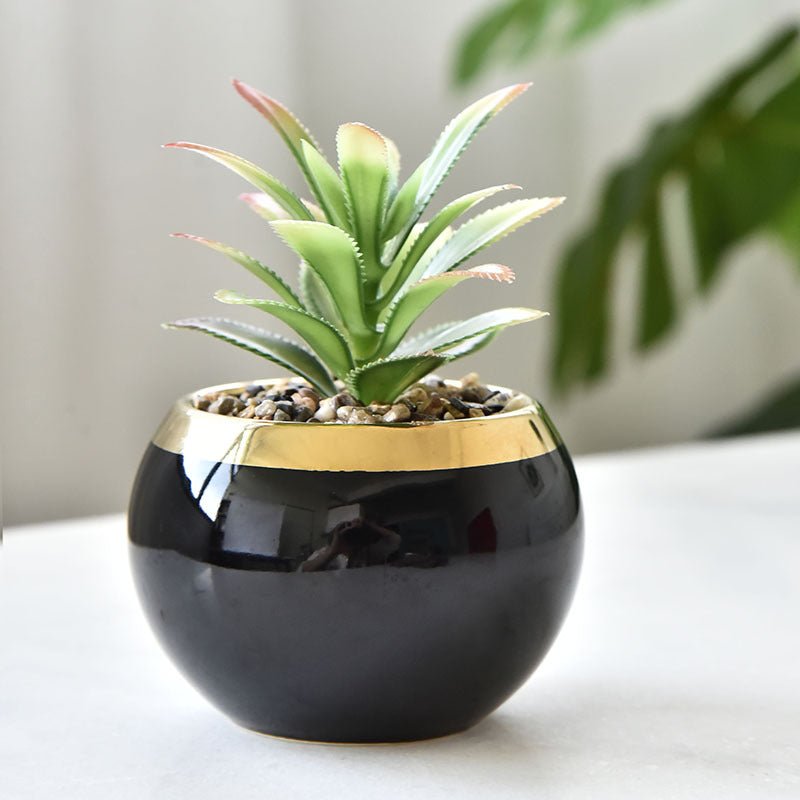 European - style Gardening Ceramic Succulent Pot Home - Max&Mark Home Decor